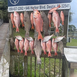 Memories Made on the Gulf