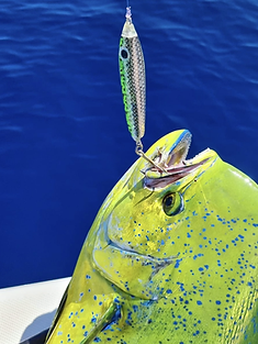 Fishing in Destin, FL