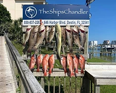 Gulf Coast Fishing