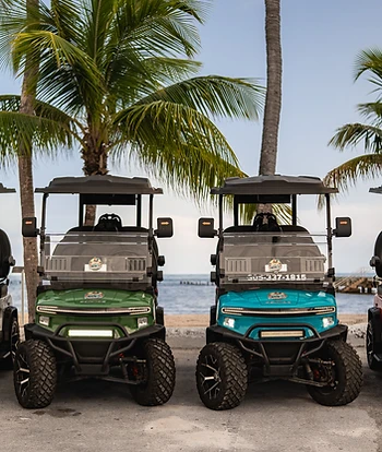 Four Paradise Rentals golf carts parked by the beach