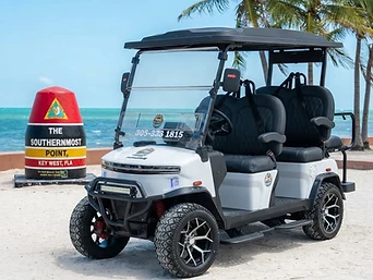 4-Passenger electric golf cart