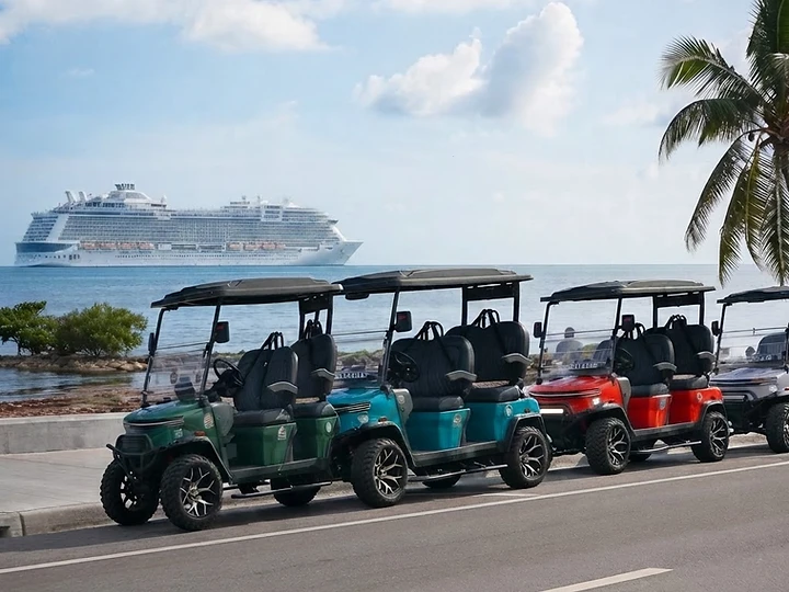 Cruise Rentals