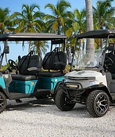 Teal and white golf carts side by side