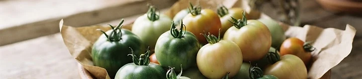 A collection of green and turning-red tomatoes sitting in a shallow cardboard box lined with newspaper inside a home.