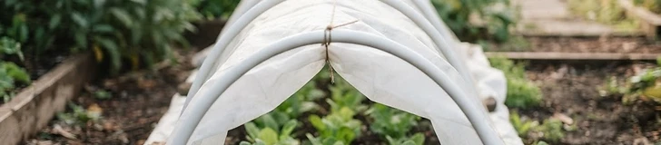 A backyard vegetable garden bed covered by a clear row cover supported by white PVC pipe arches, with healthy green kale visible through the fabric.