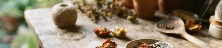 Close-up of human hands holding a collection of dry tomato and bean seeds over wooden garden stakes.