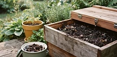 A large, dark wooden worm composting bin resting on soil in a shaded garden corner under a leafy tree.