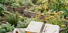 A young child sitting on a wooden garden bench holding an open sketchbook and colored pencils while observing a butterfly on a flower.