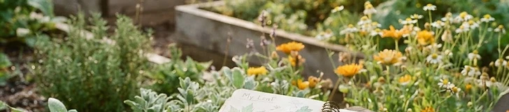 A young child sitting on a wooden garden bench holding an open sketchbook and colored pencils while observing a butterfly on a flower.