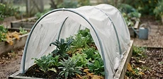A backyard garden bed with metal hoops holding up a white mesh row cover to protect plants from harsh weather.