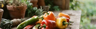 A close-up view of freshly harvested, vibrant red and green bell peppers sitting in a clean, wooden garden harvest basket on a sunny patio table.