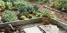 A close-up of a gardener holding a notebook and pencil over a raised garden bed filled with seedlings on a sunny spring morning.