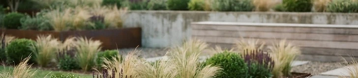 A minimalist garden patio featuring clean concrete pavers, neatly trimmed boxwood spheres, and tall ornamental grasses in dark grey planters.