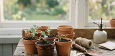 Close-up of a person's hands gently placing a seed into a small compostable starter pot filled with dark, moist soil in a brightly lit room.