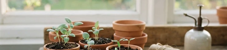 Close-up of a person's hands gently placing a seed into a small compostable starter pot filled with dark, moist soil in a brightly lit room.