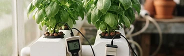 Mastering Your Hydroponic Nutrient Solution: A Guide to EC and pH