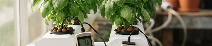 Mastering Your Hydroponic Nutrient Solution: A Guide to EC and pH