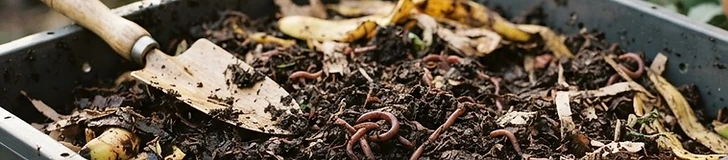 Close-up of a person in garden gloves checking the damp, brown bedding inside a plastic worm composting bin.