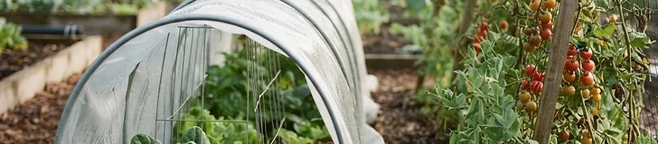 A backyard garden bed featuring a tall A-frame trellis covered in white frost fabric held down with metal pins on a cool autumn morning.