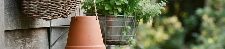 A vibrant hanging basket filled with trailing herbs and a small tomato plant, suspended from a wooden patio beam in a sunlit backyard.