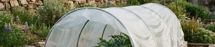 A close-up of a DIY low tunnel made of plastic sheeting draped over wire hoops in a backyard garden bed.