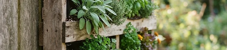 A close-up of a DIY vertical wooden pallet garden mounted against a brick wall, filled with vibrant green herbs and small colorful flowers in each slat.
