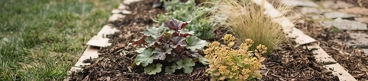 A close-up view of hands layering brown cardboard and wood chips over a green grass lawn to prepare a new garden bed.