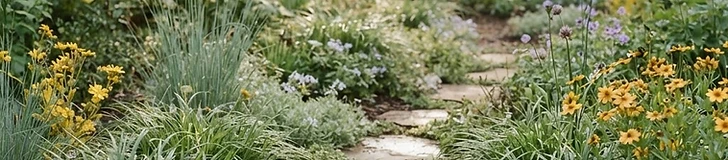 A vibrant garden landscape featuring low-growing native sedges and flowering groundcovers instead of a traditional grass lawn.