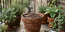 Close-up of a gardener's hands mixing dark, fluffy potting soil with white perlite in a large terracotta basin on a bright balcony.