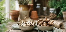 A person using a sharp knife to carefully harvest clusters of fresh oyster mushrooms from a wood-based growing block on a kitchen counter.