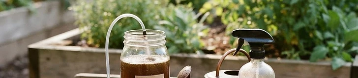 A close up of a gardener pouring a dark, nutrient-rich liquid from a plastic bucket into a watering can in a lush, green home garden.