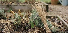 A close-up of a gardener using a metal spade to turn over dark, rich soil in a raised garden bed during a crisp autumn morning.