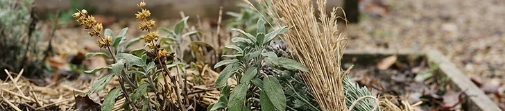 A close-up of a gardener using a metal spade to turn over dark, rich soil in a raised garden bed during a crisp autumn morning.