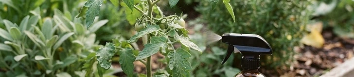 DIY Organic Sprays: Your Tactical Guide to Beating Aphids and Mites