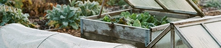 Mastering Frost Protection: Extending Your Growing Season
