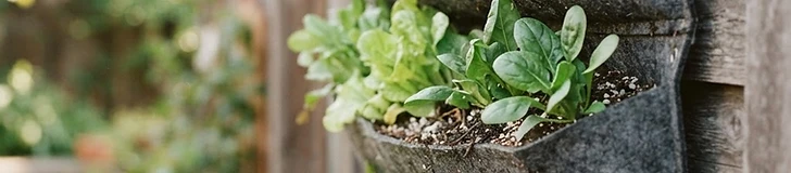 A close-up of a person's hands mixing dark, fluffy potting soil with white perlite inside a large plastic bin on a wooden patio.