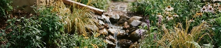A shallow, sunken garden bed filled with native grasses and colorful wildflowers, capturing water near a residential lawn.