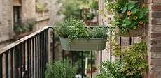A modern balcony featuring a metal railing equipped with several colorful rectangular planters filled with vibrant flowers and trailing herbs.