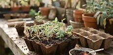 A close up view of a gardener filling plastic seed starting cells with dark, fluffy soil mix using a small hand trowel.