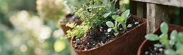 A close-up shot of hands mixing dark organic potting soil with white perlite inside a large plastic bin.