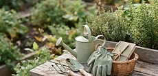 A young child wearing colorful gardening gloves reaches out to touch a vibrant green leaf while kneeling in a wooden raised garden bed.