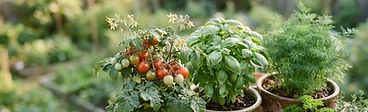 Mapping Your Harvest: How to Select the Right Crops for Your USDA Hardiness Zone