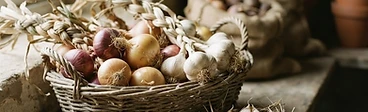 Close-up of freshly cured garlic bulbs and onions with dry, papery skins resting in a wooden crate inside a cool, dimly lit barn.