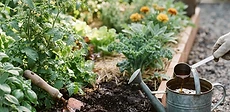 Close up of a gardener wearing brown gloves spreading dark, crumbly compost over rich soil in a raised garden bed.