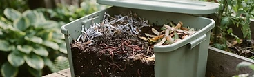 A close-up view of a person wearing gardening gloves adding vegetable scraps into a plastic bin filled with shredded paper and active earthworms.