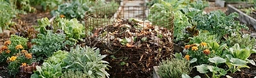 A circular raised garden bed made of stacked stone with a wire mesh compost cylinder in the center and lush vegetable plants growing around it.