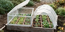 A square-foot garden bed covered by a clear plastic low tunnel made with wire hoops and landscape staples in a late autumn backyard.