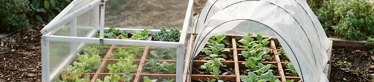 A square-foot garden bed covered by a clear plastic low tunnel made with wire hoops and landscape staples in a late autumn backyard.