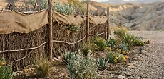 A home garden in a dry desert climate featuring a sturdy wooden slat fence providing shade and wind protection to raised vegetable beds.