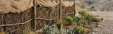 A home garden in a dry desert climate featuring a sturdy wooden slat fence providing shade and wind protection to raised vegetable beds.